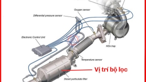 3 Lý Do Nên Chọn Xử Lý Khí Thải Xe Đầu Kéo Mỹ Tại Đại lý xe ô tô MDT